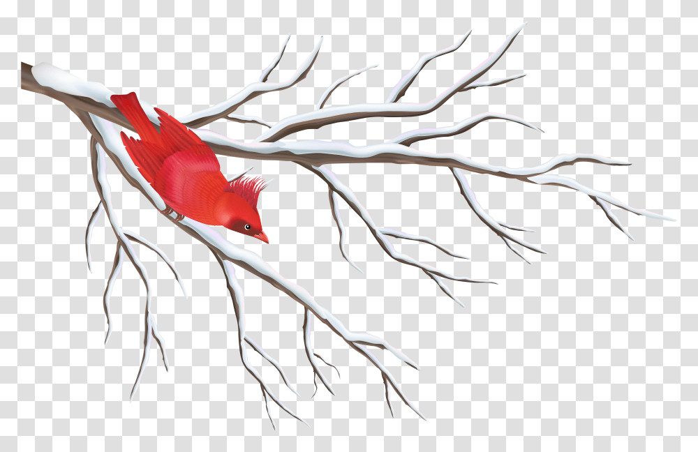 Branch With Bird Clipart Image Winter Clipart Background Transparent Png