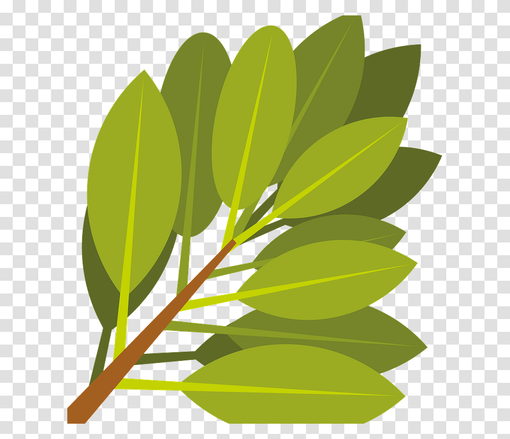 Branch With Green Leaves Clipart, Leaf, Plant, Pottery Transparent Png