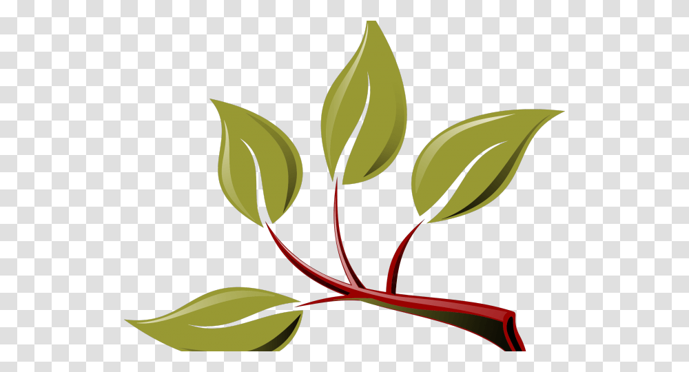 Branch With Leaves Clipart, Leaf, Plant, Floral Design Transparent Png