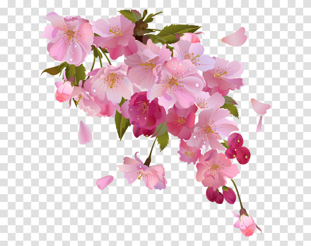 Branch Wreath Clipart Song Of The Time Lyrics Harry Styles, Plant, Flower, Blossom, Cherry Blossom Transparent Png