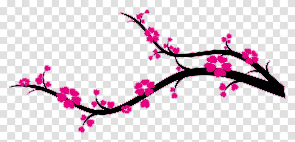 Branche Cerisier Du Japon Download Branche Cerisier, Plant, Flower, Blossom, Cherry Blossom Transparent Png
