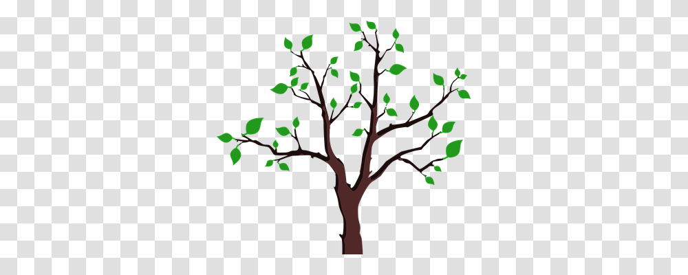 Branches Nature, Plant, Tree, Leaf Transparent Png