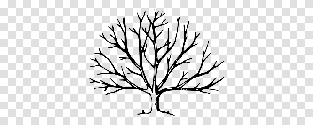 Branches Nature, Gray, World Of Warcraft Transparent Png