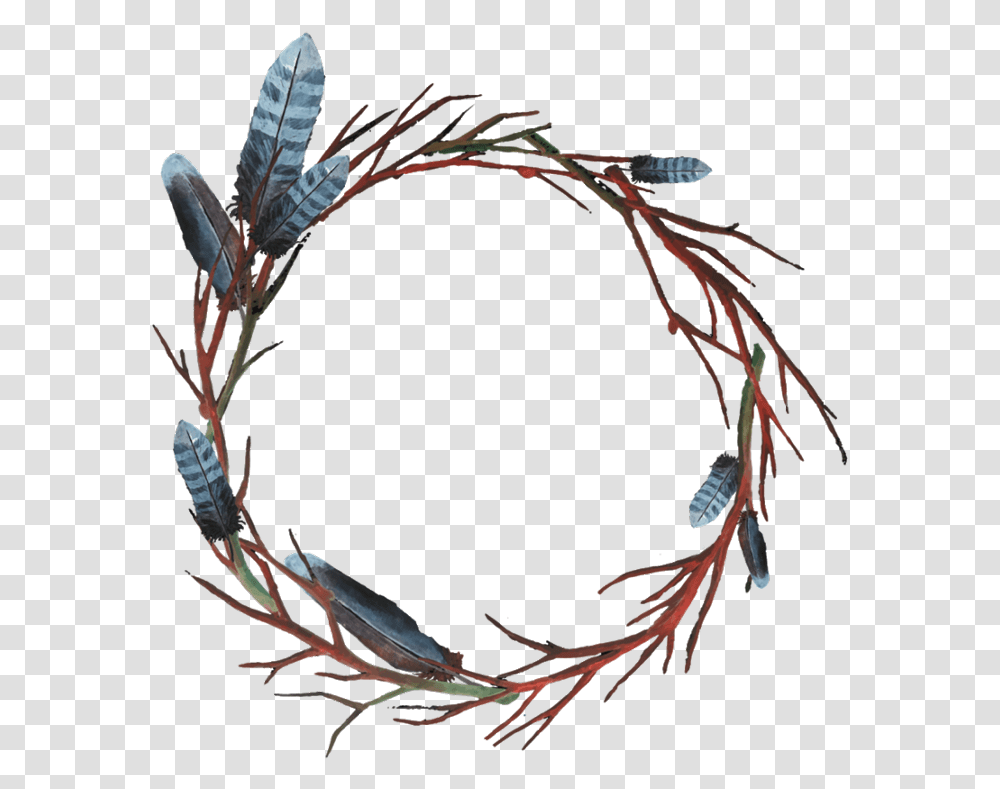 Branches Feather Circle, Plant, Flower, Blossom, Painting Transparent Png