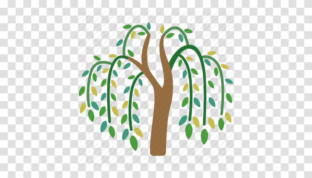 Branches Fronds River Tree Vegetation Weeping Willow Icon, Plant, Slingshot, Flower Transparent Png