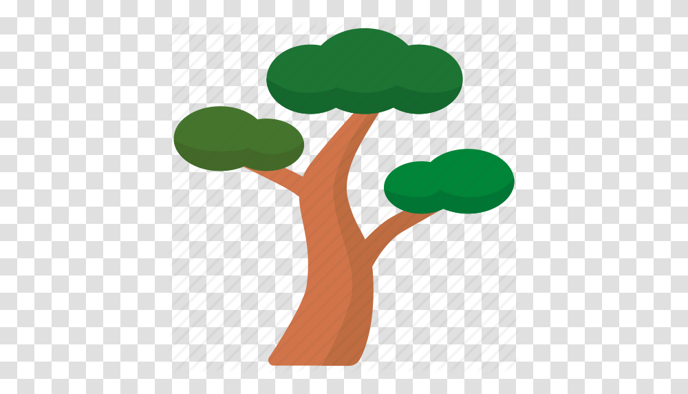 Branches Japanese Korean Korean Red Tree Pine Red Tree Icon, Plant, Green, Sprout, Root Transparent Png
