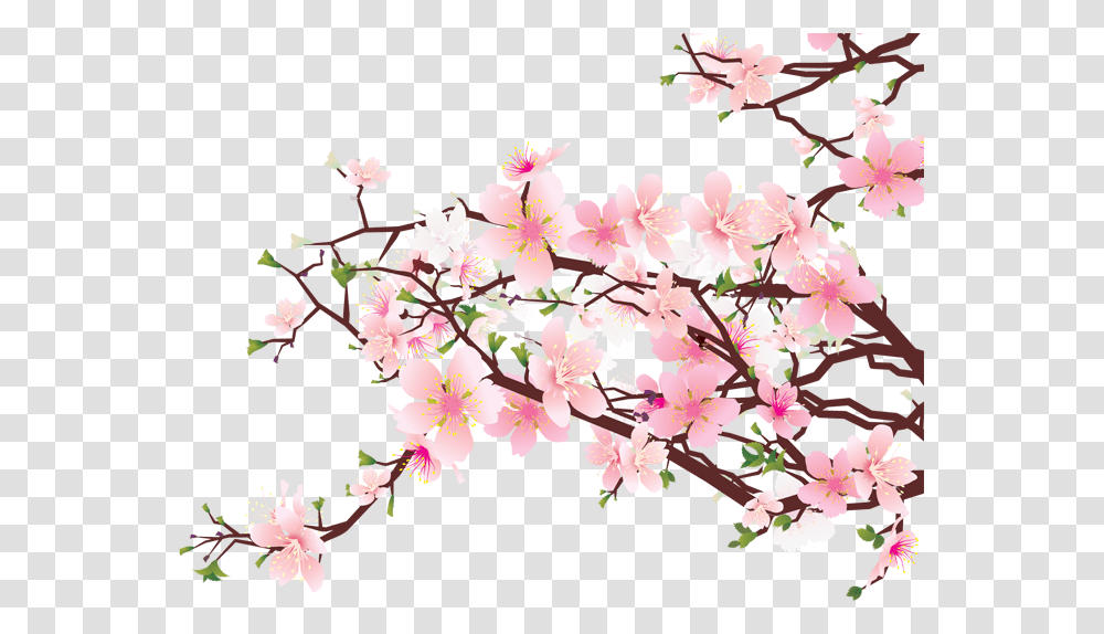Branches Of Cherry Blossoms, Plant, Flower Transparent Png