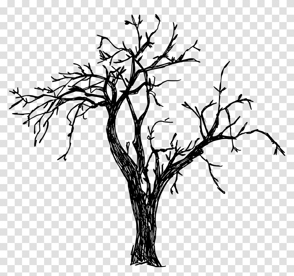 Branches Tree Tree Drawing, Gray, World Of Warcraft Transparent Png