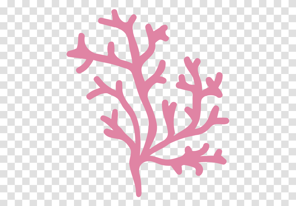 Branching Coral Graphic Illustrations Free Graphics Stencil, Cherry Blossom, Flower, Plant, Poster Transparent Png