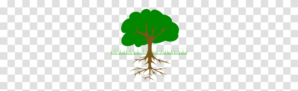 Branching Tree Clipart Clip Art Images, Root, Plant, Poster, Advertisement Transparent Png
