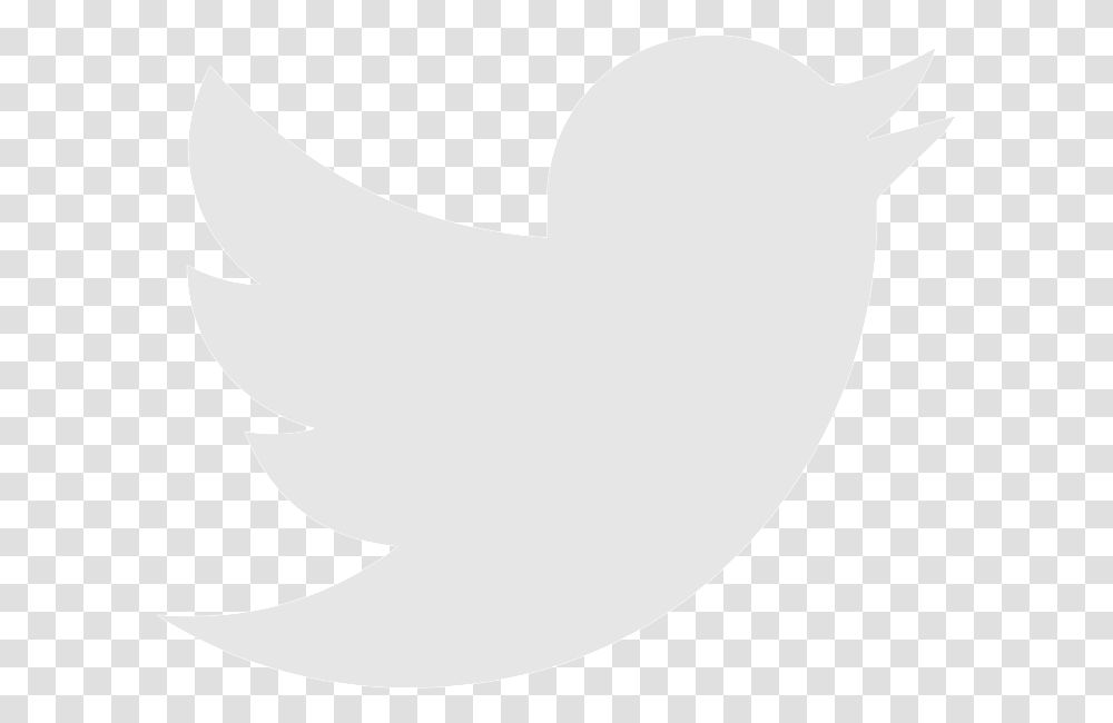 Brand Logo Network Social Twiter Icon Twitter Logo White Label Text Silhouette Stencil Transparent Png Pngset Com