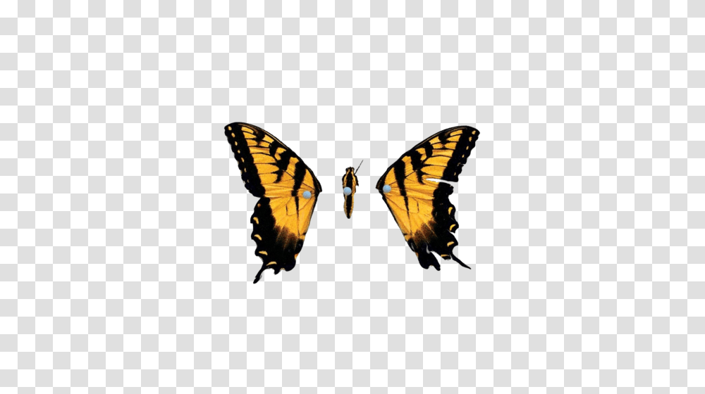 Brand New Eyes Tumblr On We Heart It, Monarch, Butterfly, Insect, Invertebrate Transparent Png