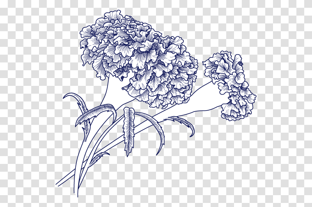 Branding And Corporate Communications Paul & Marigold Line Art, Plant, Flower, Blossom, Drawing Transparent Png