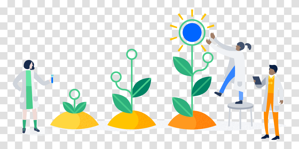 Branding Guide Writing Style, Plant, Person, Human, Flower Transparent Png