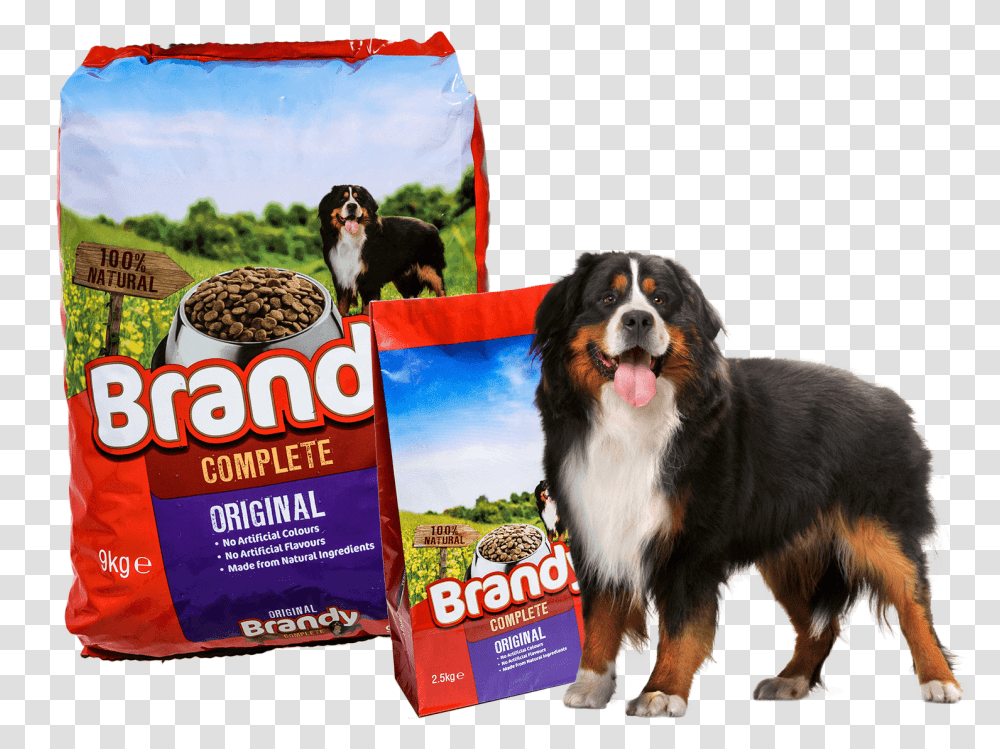 Brandy Dog Food, Pet, Canine, Animal, Mammal Transparent Png