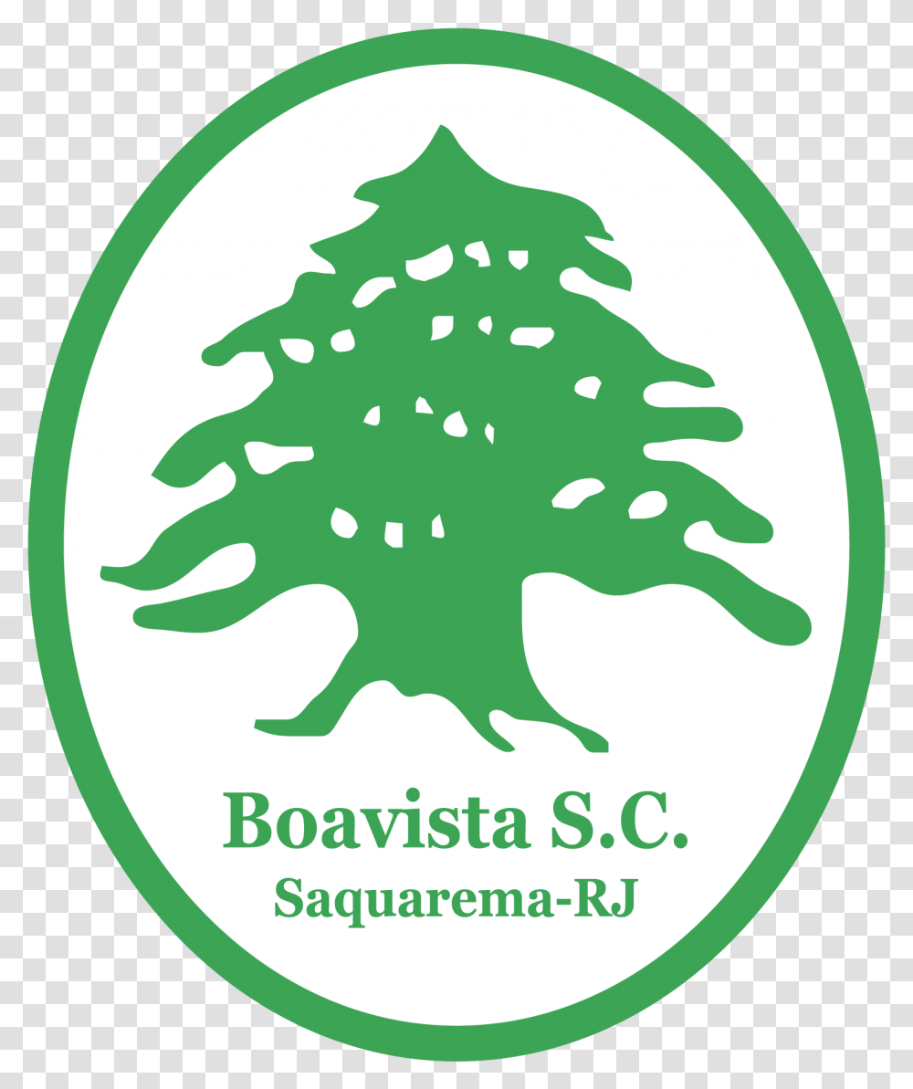 Brasao Do Boavista Rj, Plant, Tree, Logo Transparent Png
