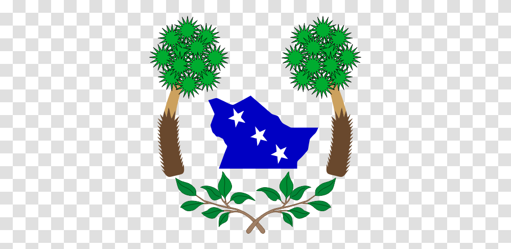Brasao Tabuleiro Do Norte, Tree, Plant, Star Symbol Transparent Png