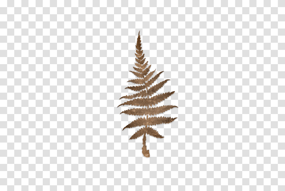 Brass Cutout Fern Feather Foliage, Tree, Plant, Ornament, Christmas Tree Transparent Png