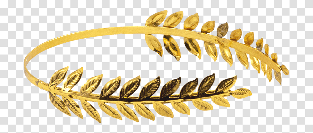 Brass Leaf Roman Hair Band Roman Crown, Plant, Flower, Blossom, Fern Transparent Png