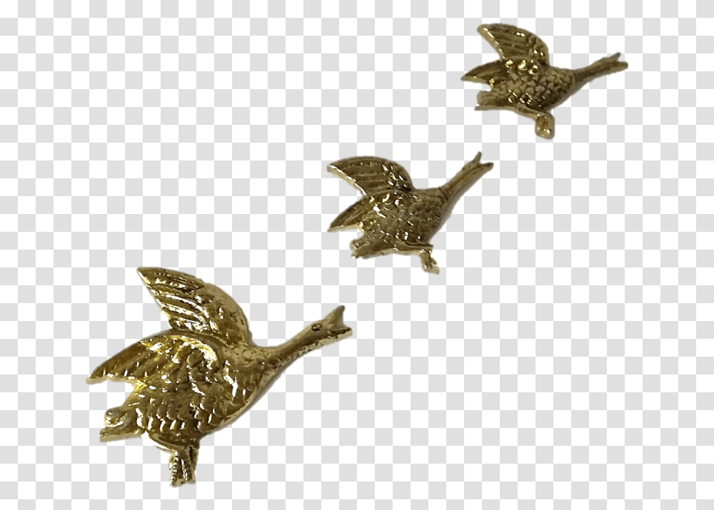 Brassducksed Eagle, Bronze, Bird, Animal, Logo Transparent Png