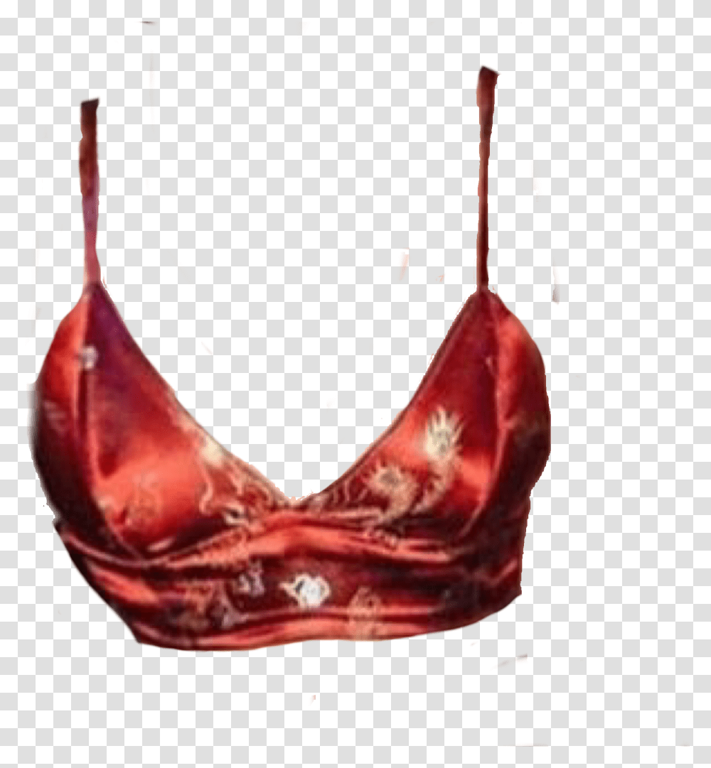 Brassiere, Apparel, Red Wine, Alcohol Transparent Png