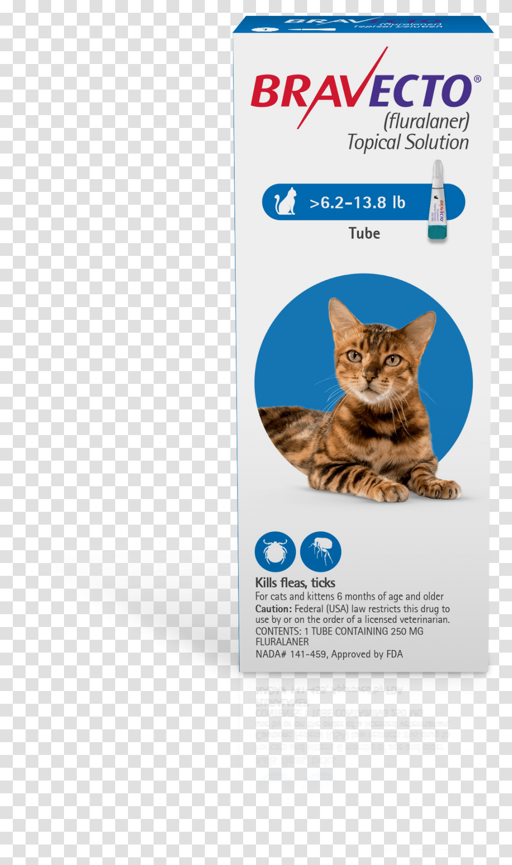 Bravecto Topical Solution For Cats Bravecto For Cats, Poster, Advertisement, Flyer, Paper Transparent Png