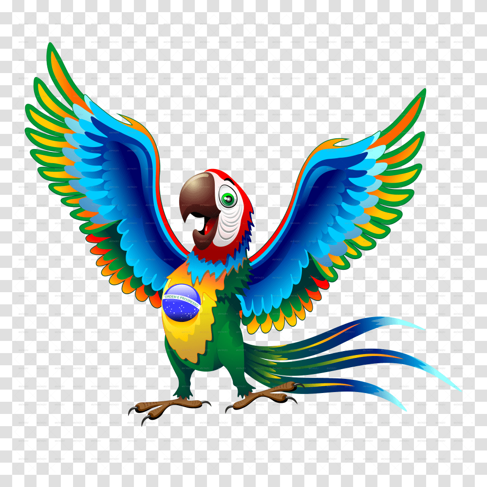 Brazil Flag, Bird, Animal, Flying Transparent Png