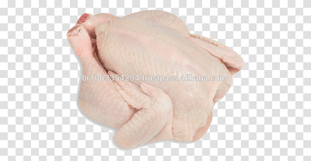 Brazil Halal Frozen Whole Chicken Frozen Chicken Paws Whole Chicken Frozen, Animal, Bird, Poultry, Fowl Transparent Png