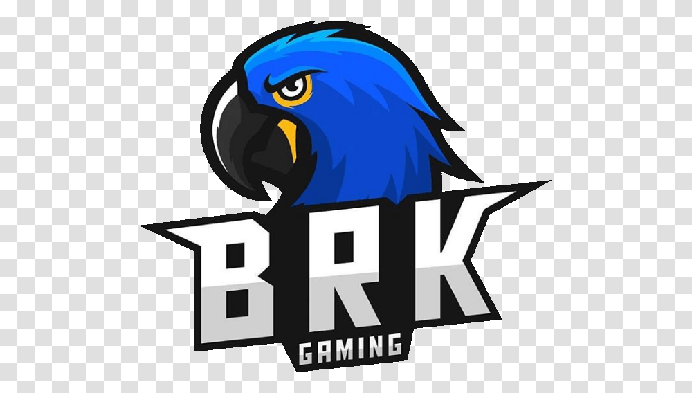 Brazillian Killers Gaming Mobile Liquipedia Logo Brk Pubg, Bird, Animal, Parrot, Jay Transparent Png