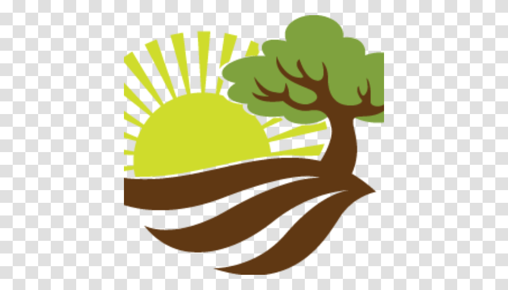 Brazos Valley Greenscapes, Plant, Tree Transparent Png