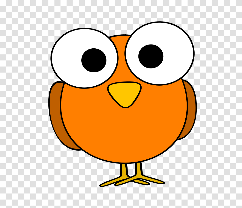 Brds Clipart Face, Bird, Animal, Angry Birds, Penguin Transparent Png