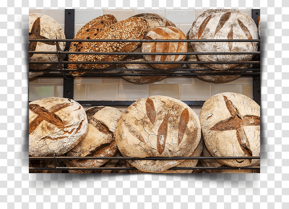 Bread, Food, Bun, Bakery, Shop Transparent Png