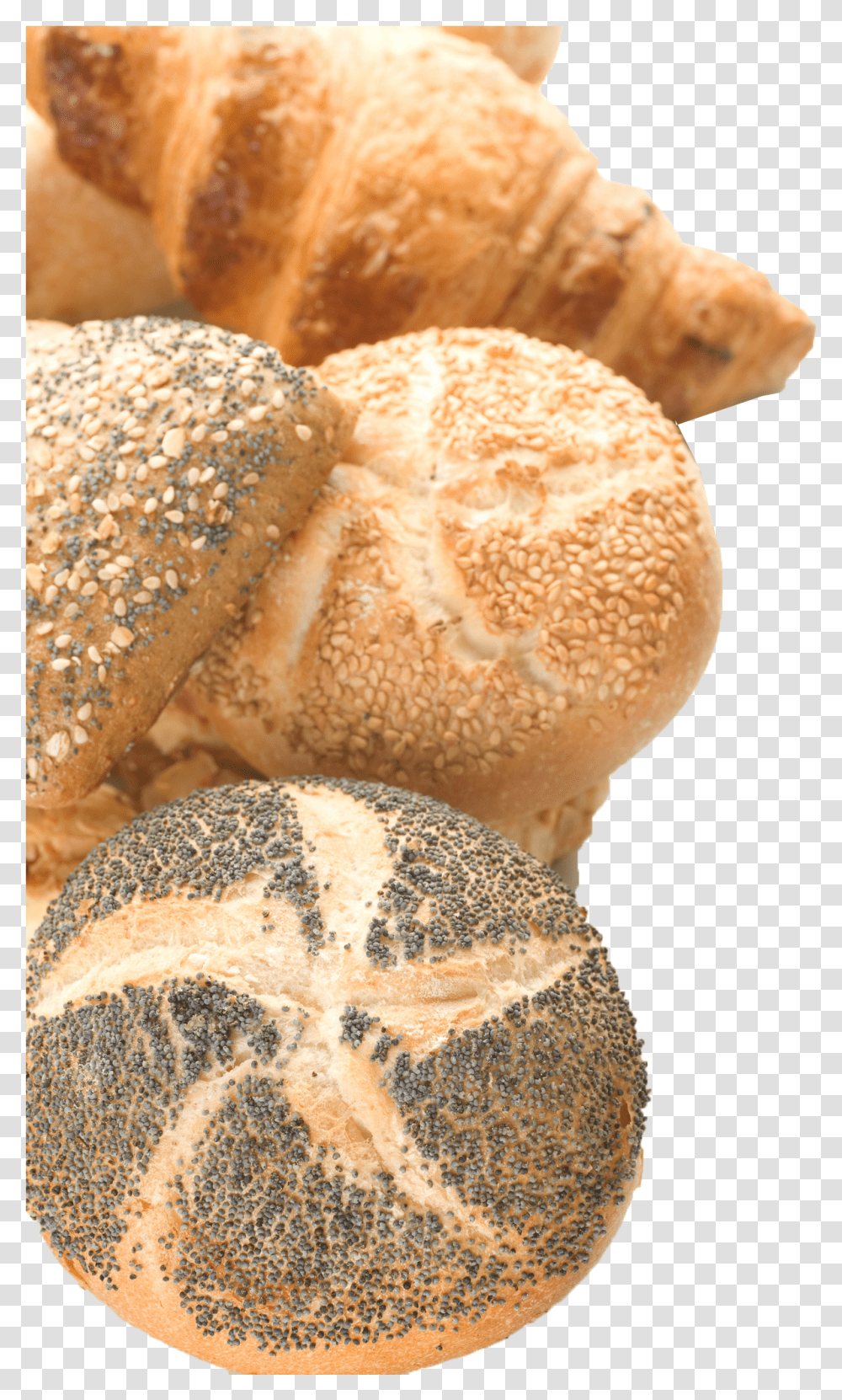 Bread High Quality, Food, Bun, Fungus, Sesame Transparent Png