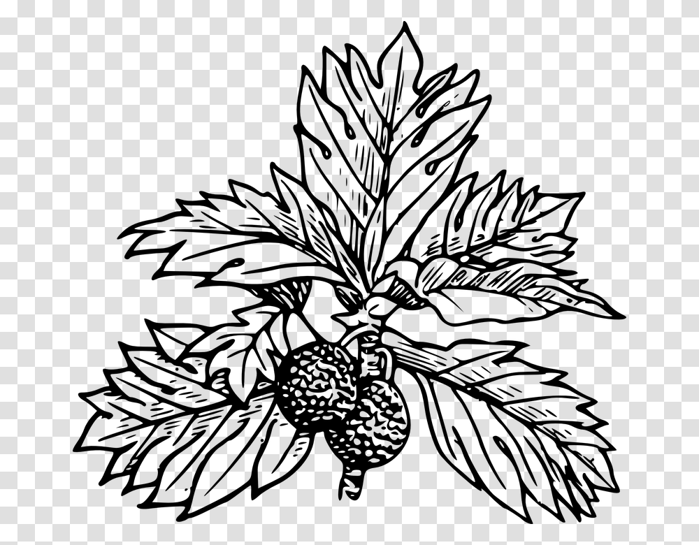 Breadfruit Tree Leaves Black And White Fruit Draw A Breadfruit Tree, Gray, World Of Warcraft Transparent Png