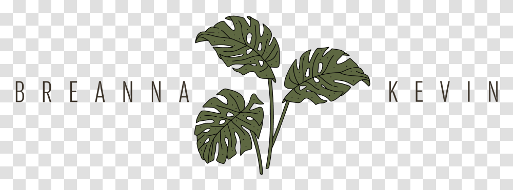 Breanna Kevin Illustration, Leaf, Plant, Green, Vegetation Transparent Png