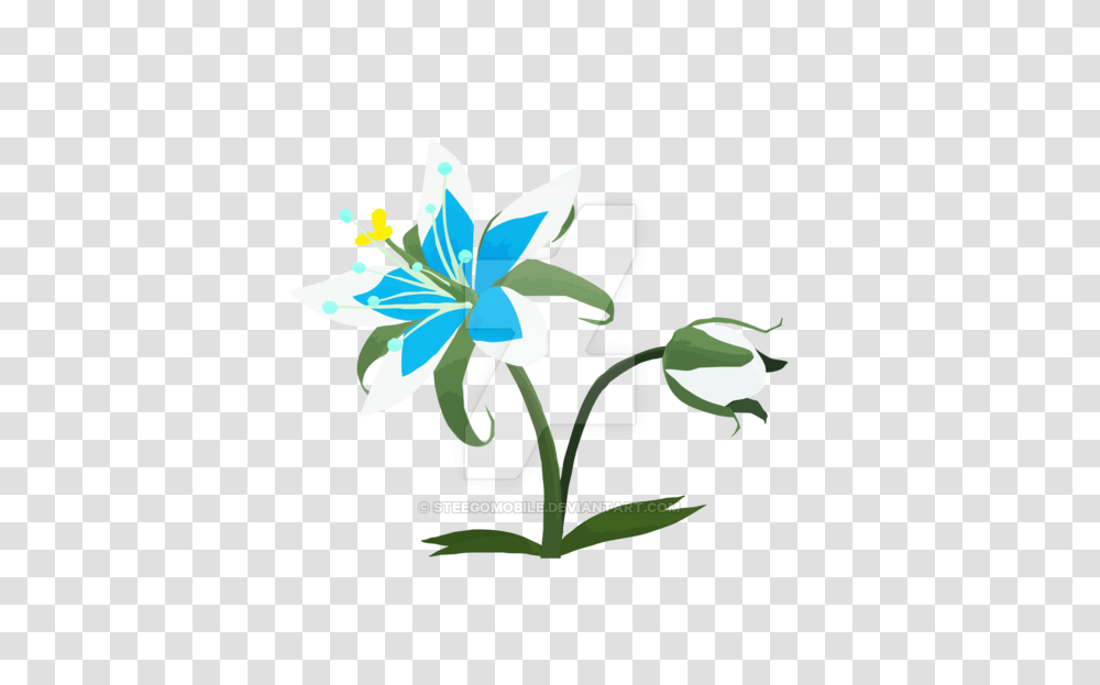 Breath Of The Wild, Plant, Flower, Blossom, Iris Transparent Png