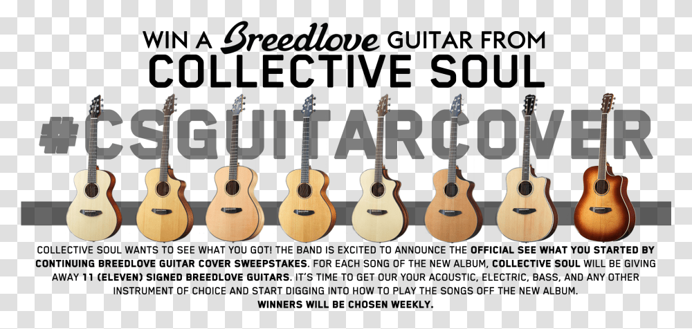 Breedlove Top Breedlove, Guitar, Leisure Activities, Musical Instrument, Bass Guitar Transparent Png
