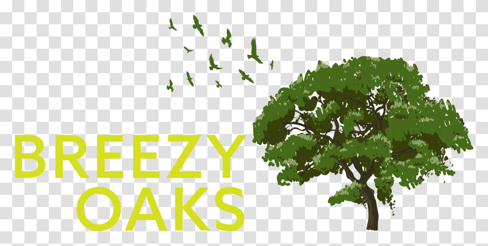 Breezy Oaks Rv Park Download Tree, Vegetation, Plant, Green, Land Transparent Png