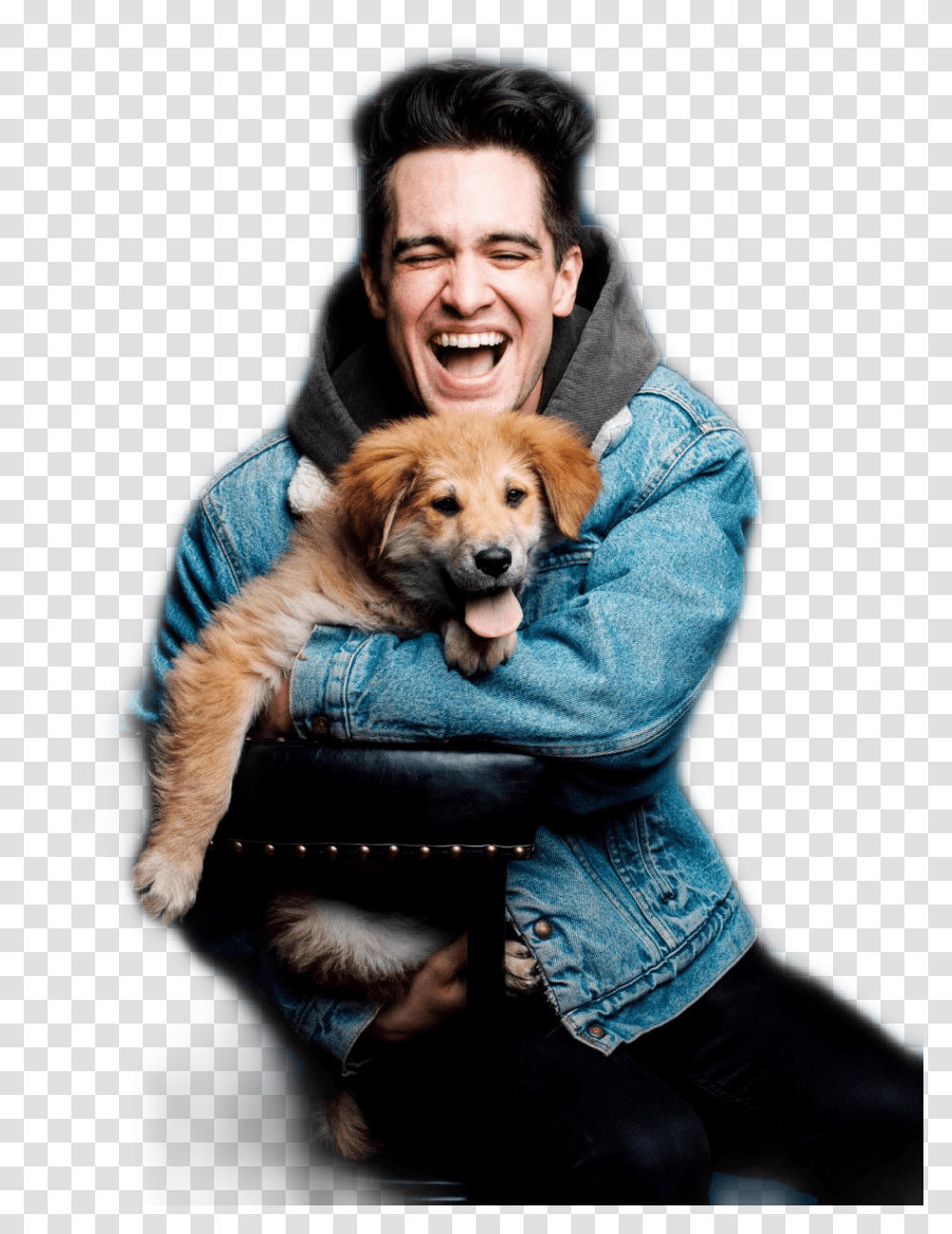 Brendonurie Panic At The Disco Panic At The Disco Brendon Urie With Dogs, Pants, Person, Jeans Transparent Png