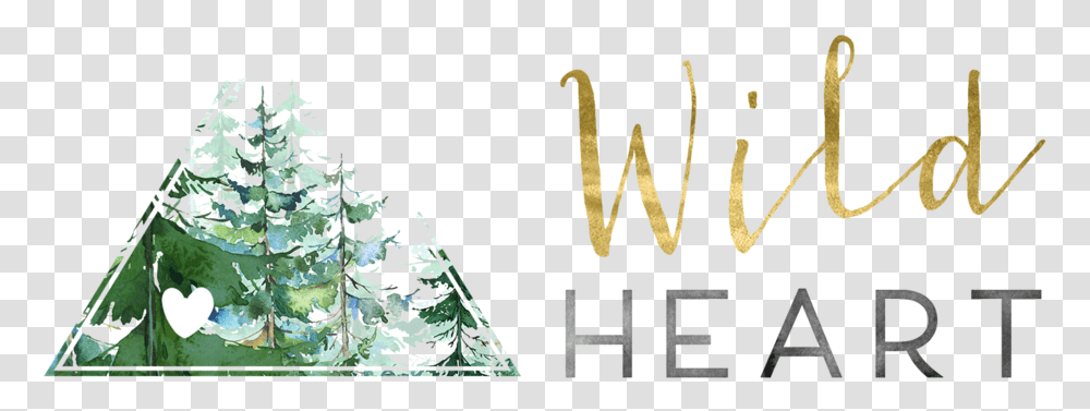 Brett Crompton - Wild Heart Wellness Messiah College Logo, Text, Alphabet, Tree, Plant Transparent Png