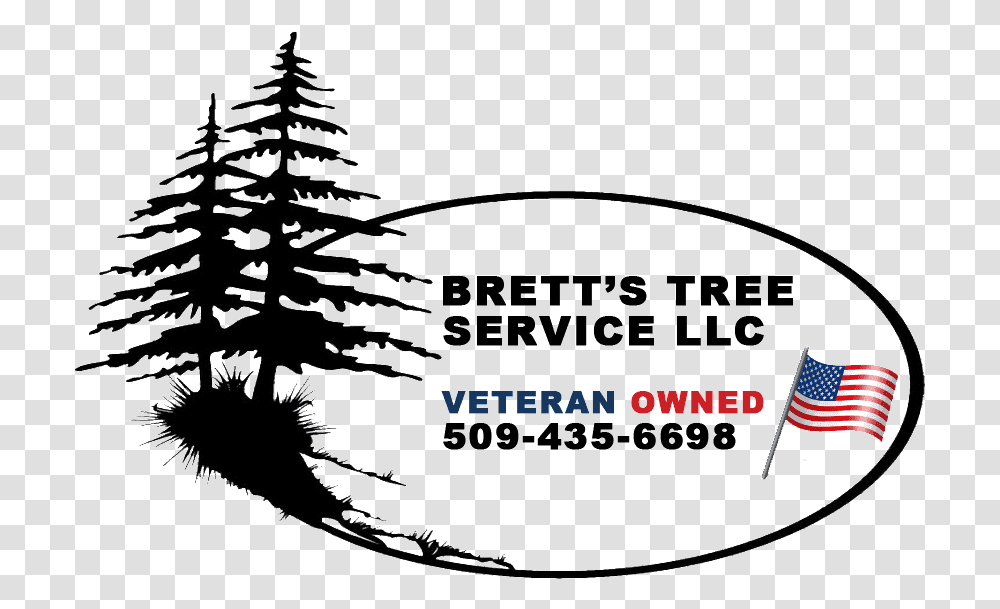 Bretts Tree Service Logo Drawing Pine Trees Tutorial, Plant, Ornament, Lighting Transparent Png