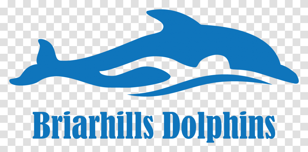 Briarhills Dolphins Swim Team Logo, Outdoors, Sea, Water, Nature Transparent Png