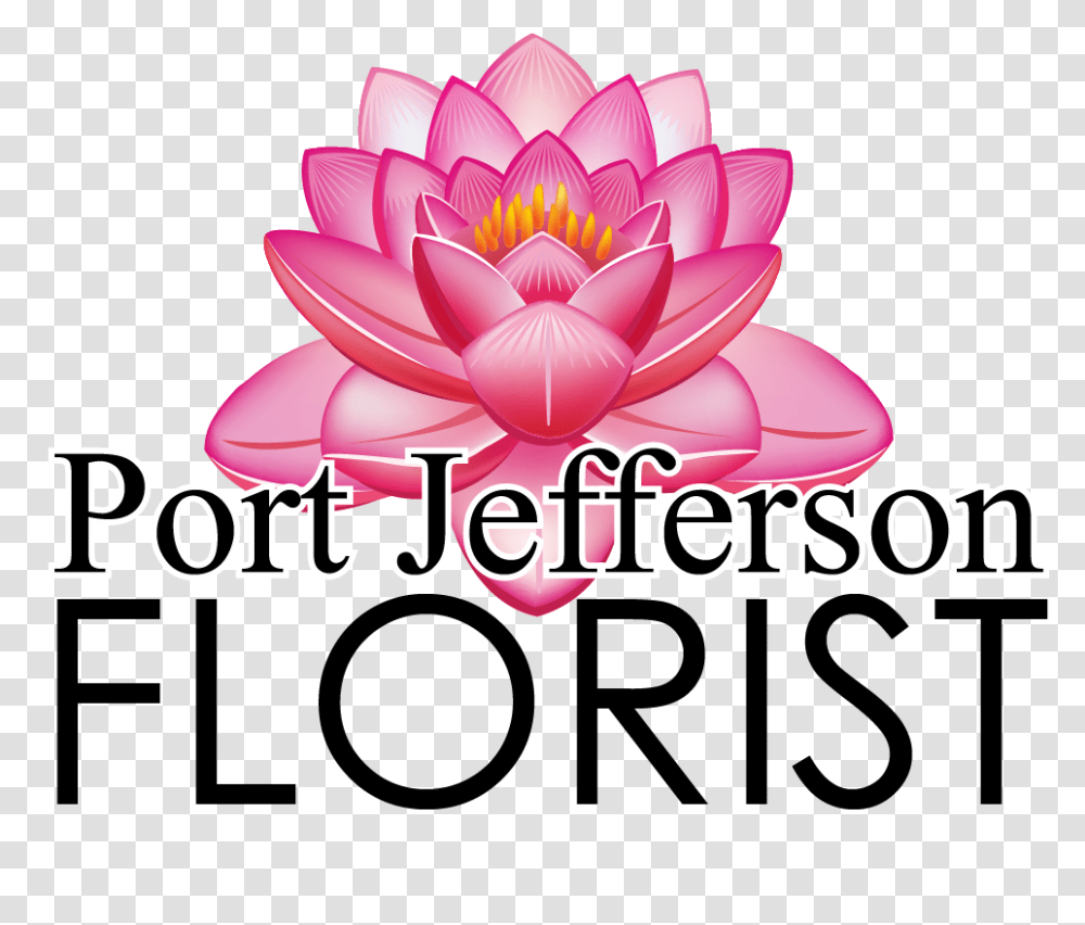 Bridal Bouquet In Port Jefferson Ny Port Jefferson Florist, Plant, Flower, Blossom, Dahlia Transparent Png