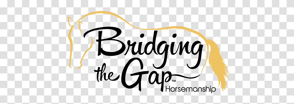 Bridging The Gap, Outdoors, Mammal, Animal Transparent Png