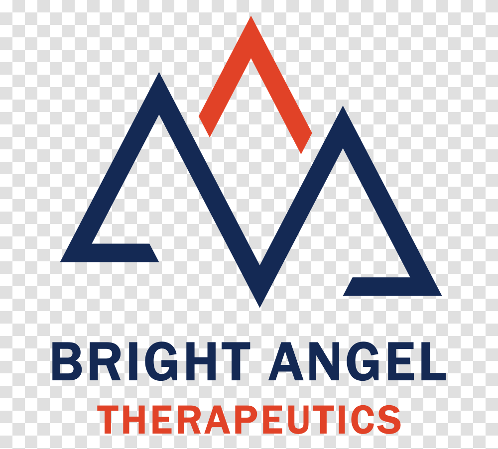 Bright Angel Logo March 25 2018 Landestalsperrenverwaltung Sachsen, Triangle, Poster, Advertisement Transparent Png