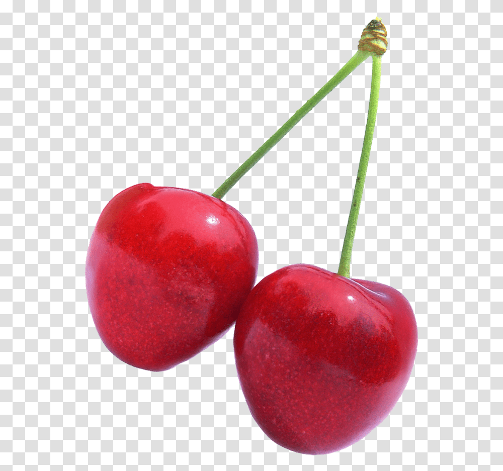 Bright Cherries, Plant, Apple, Fruit, Food Transparent Png