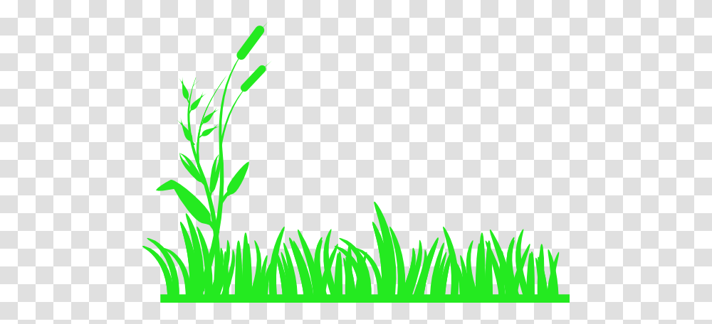 Bright Grass Clip Art, Green, Plant, Leaf, Vase Transparent Png