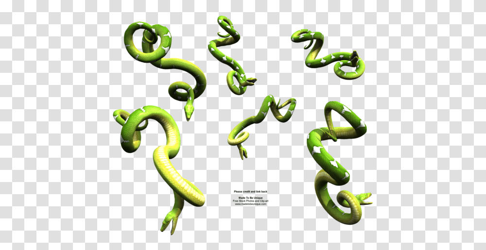 Bright Green Hanging Snakes By Madetobeunique Python Snake Vijay Mahar Fire, Plant, Reptile, Animal, Green Snake Transparent Png