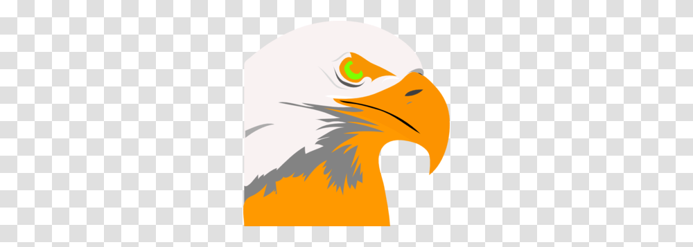 Bright Orange Eagle Clip Art, Bird, Animal, Beak, Bald Eagle Transparent Png