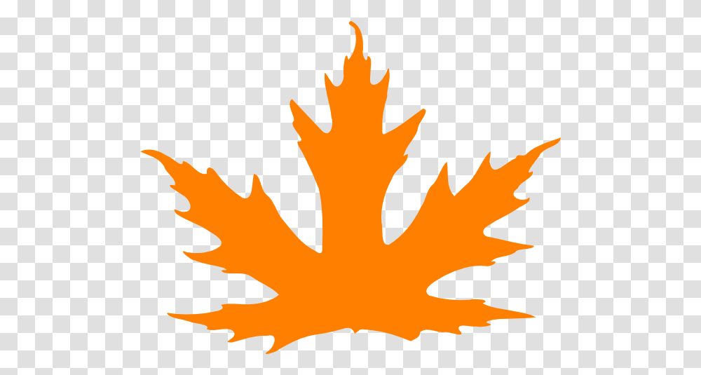 Bright Orange Leaf Clip Art, Plant, Tree, Maple, Maple Leaf Transparent Png